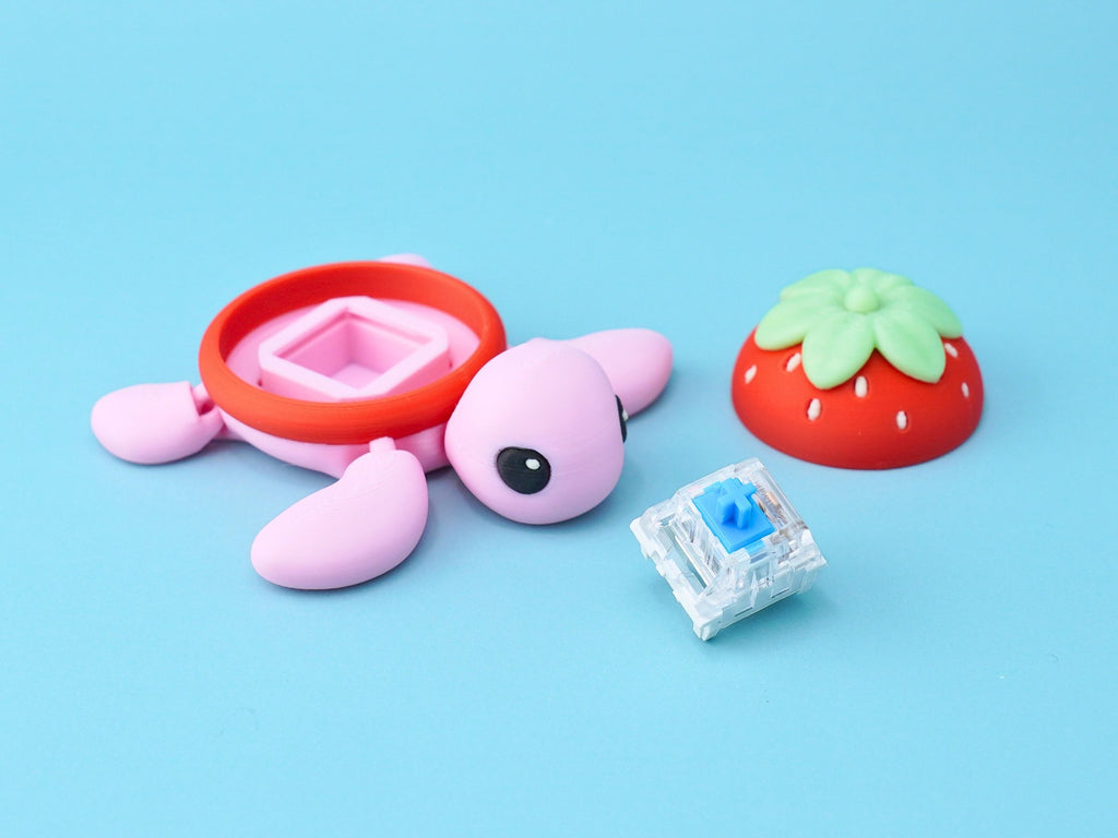 Fruchtschildkröte Clicker Fidget Toy